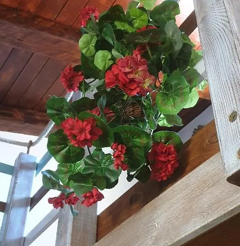 La Del Vicolo 度假居 *